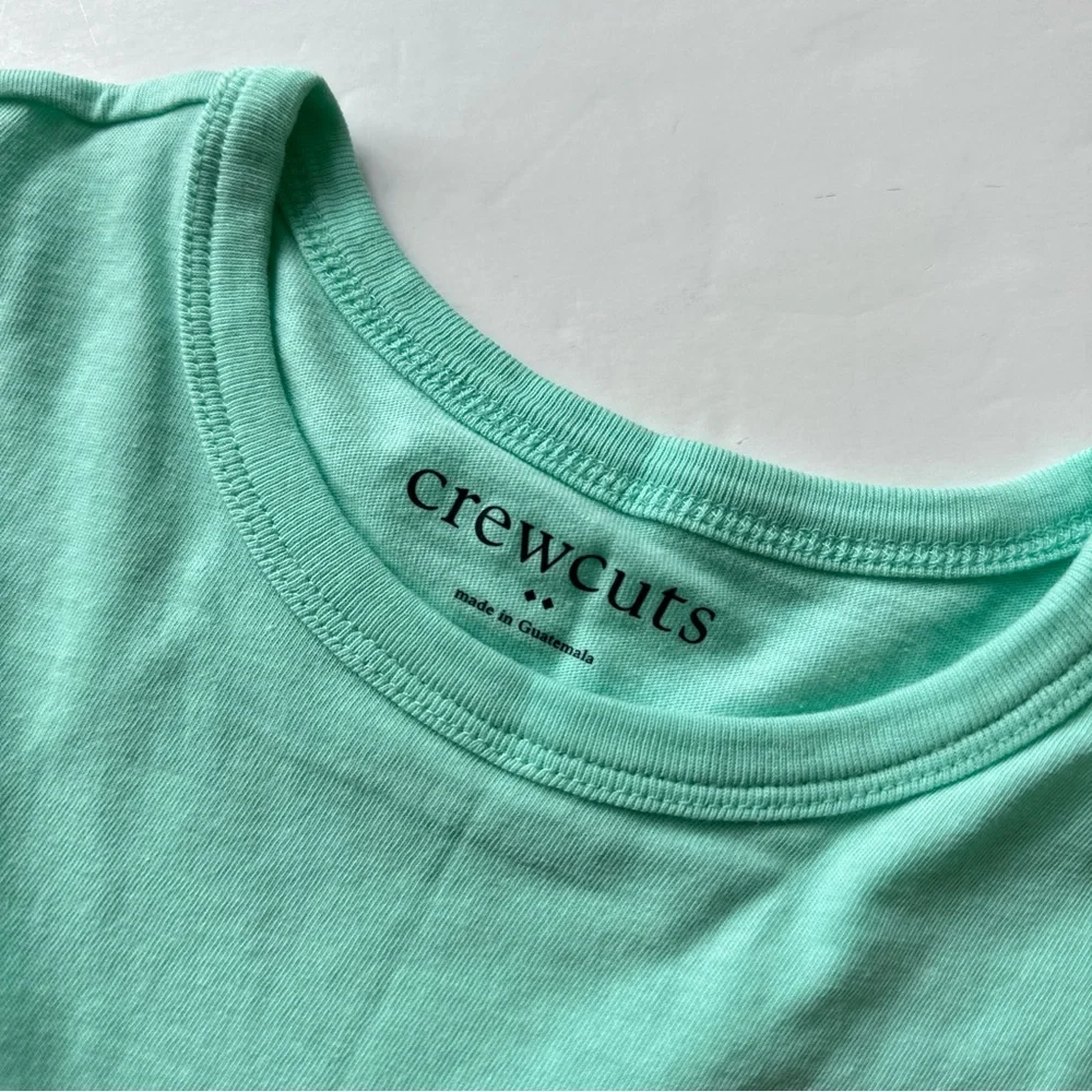 Crewcuts critter pocket graphic tee